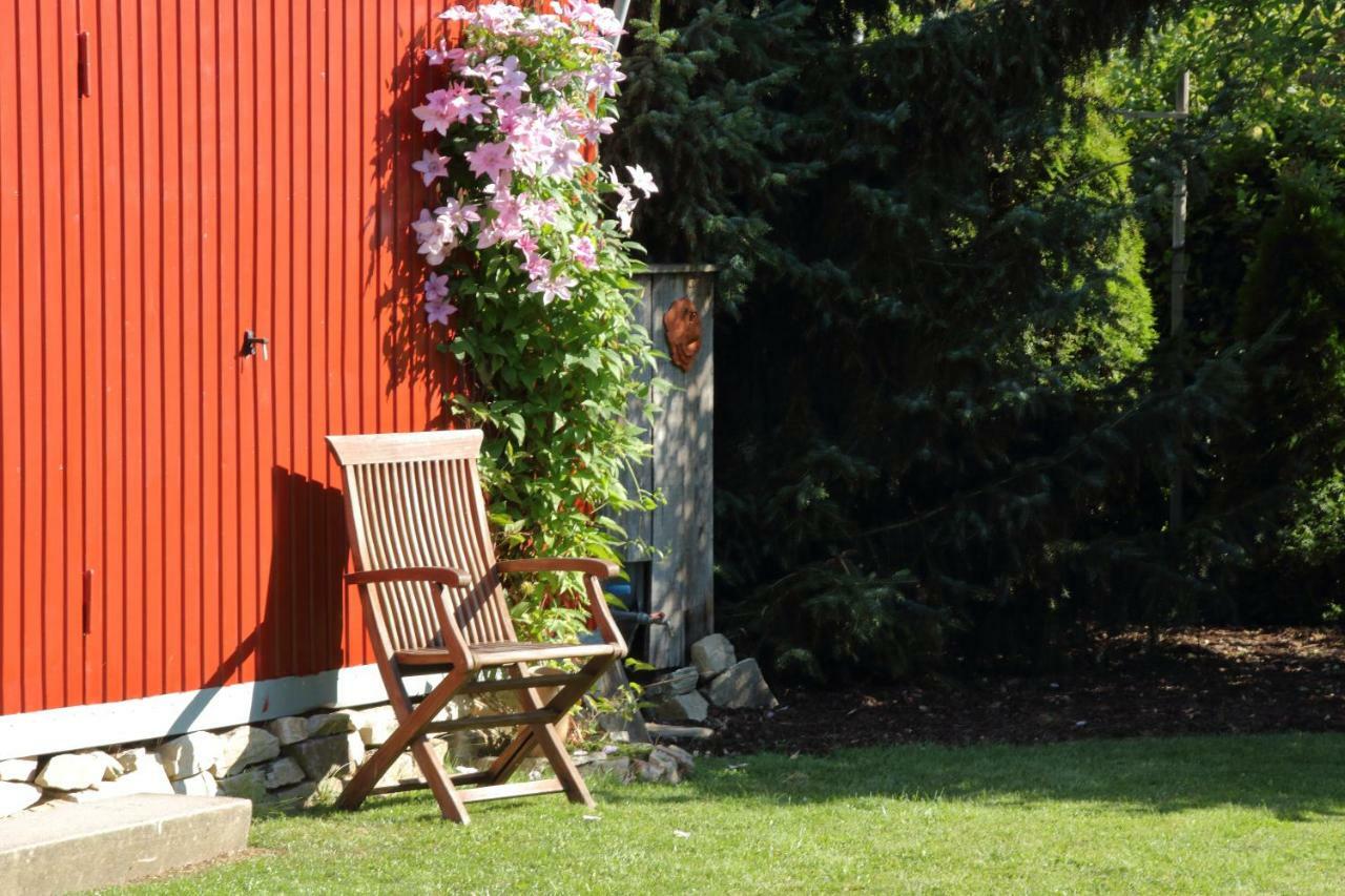 Haus Kolmesfeld Daire Sensweiler Dış mekan fotoğraf