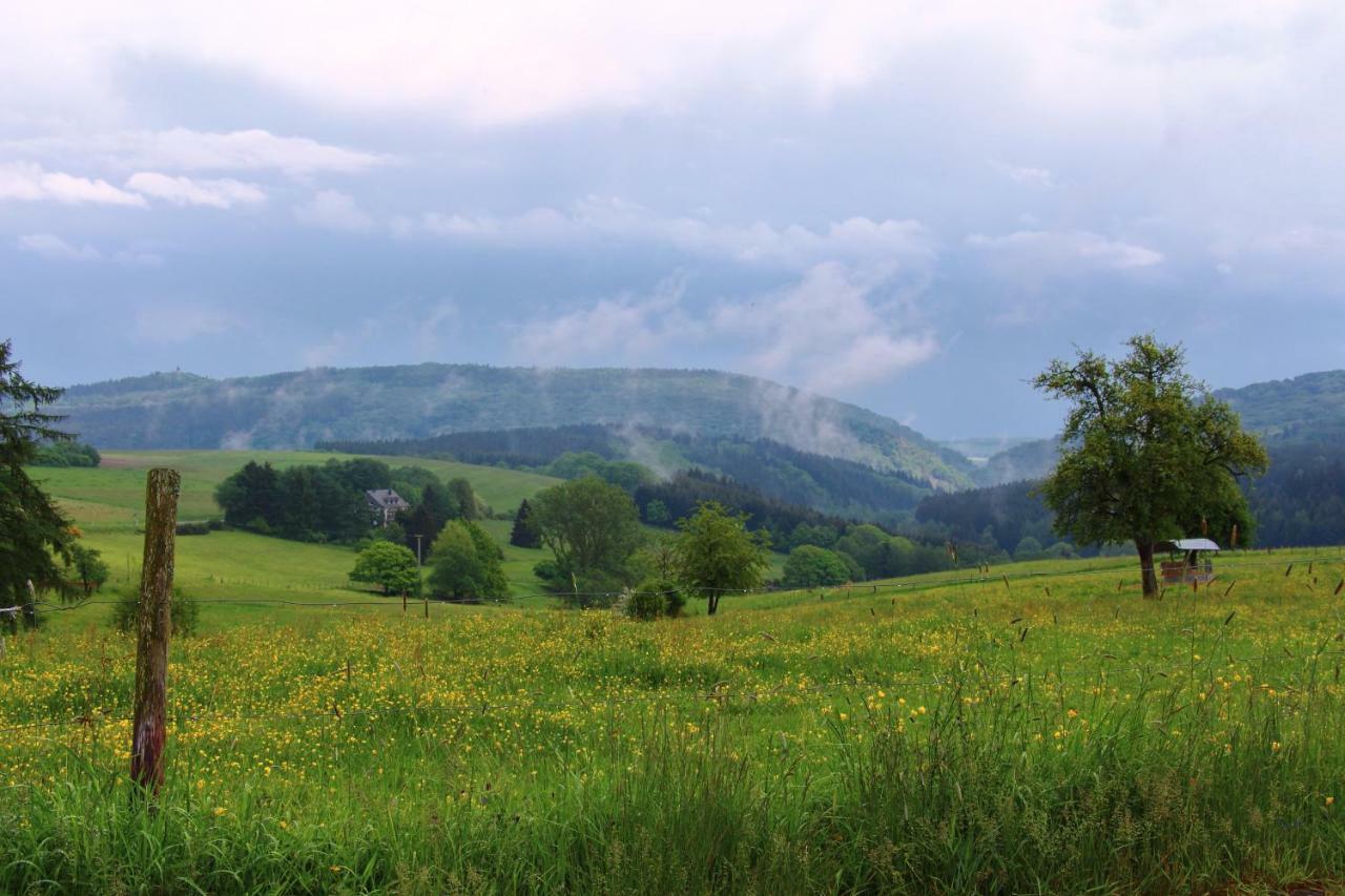 Haus Kolmesfeld Daire Sensweiler Dış mekan fotoğraf
